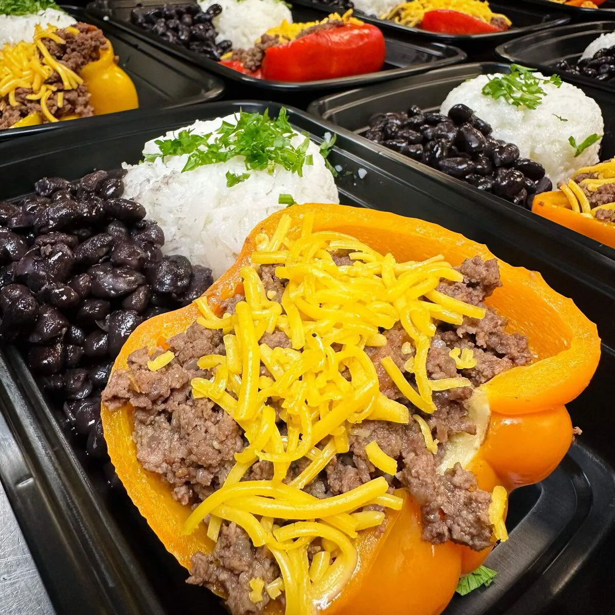 Fit Meals prepared meal 6