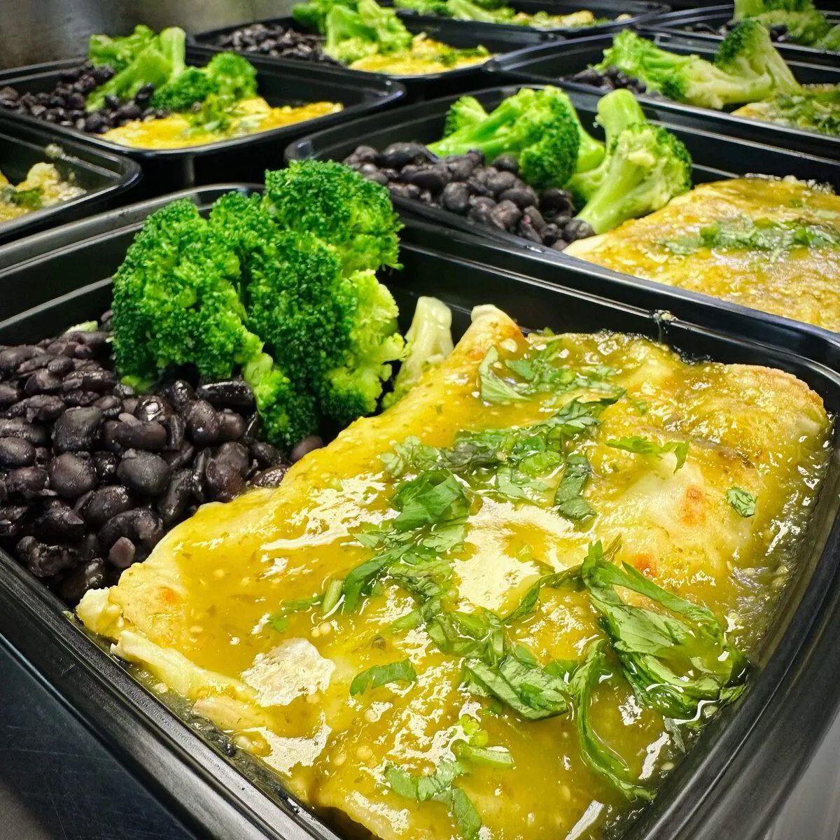 Fit Meals prepared meal 9